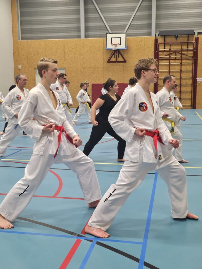 bram bas tul 768x1024.jpeg